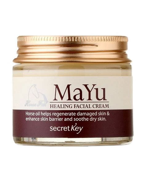 Secret key MAYU Healing Facial Cream 70g | Arktastic
