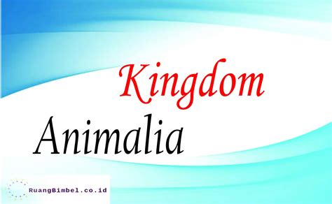 Kingdom Animalia Ciri Ciri Dan Klasifikasi Id