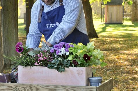 Quelles Plantes Pour Une Jardini Re Fleurie En Hiver Les Fermes De Gally