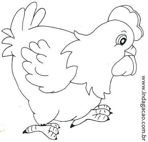 Imagens De Galinha Desenho - 10