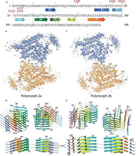 Figures And Data In Two New Polymorphic Structures Of Human Full Length