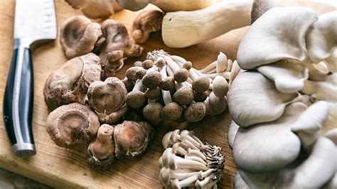 24 Facts About Mushrooms - OhMyFacts