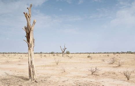 combating desertification graphic