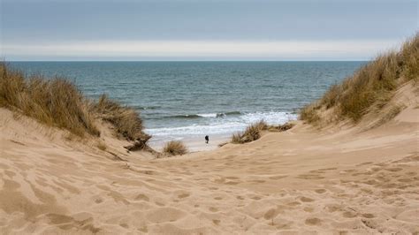 Beach Dune