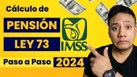 Calculo Pension Imss Ley Simulador