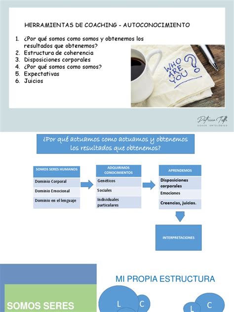Herramientas De Coaching Ii Pdf Las Emociones Aprendizaje