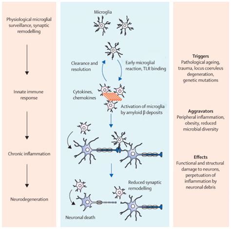 Neuroinflammation In Alzheimer S Disease Abstract Europe Pmc