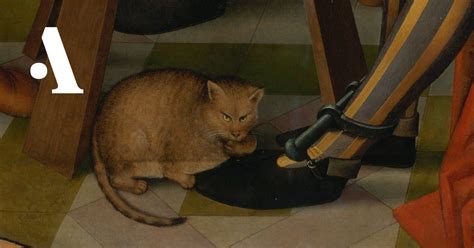 Чей кот? • Arzamas