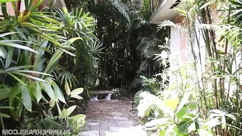 Porno Videos in der Kategorie Zimmermädchen Anal 3 xHamster