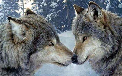 Love And Romance Speter Wallpaper 14112986 Fanpop