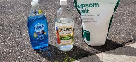 Killing Weeds With Vinegar And Salt Healthy Food Near Me