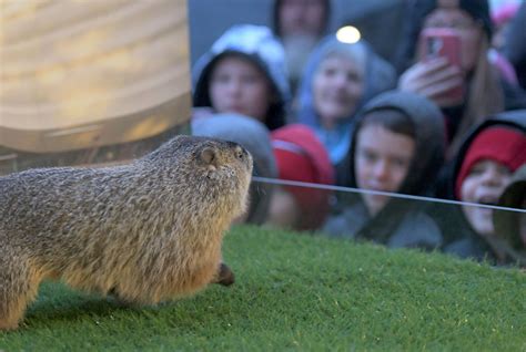 Latest Obituaries and Notices from Ravenna Record-Courier 28