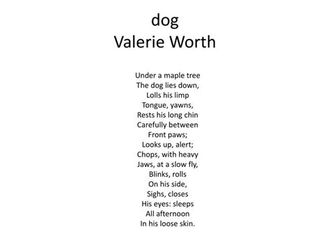 Ppt Poems From Love That Dog Powerpoint Presentation Id2439851