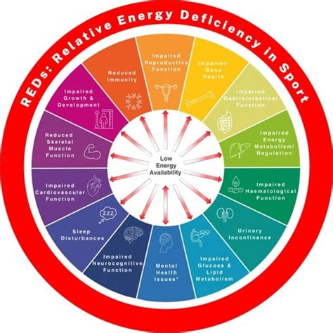 Reds Update Zum Relativen Energiedefizit Im Sport