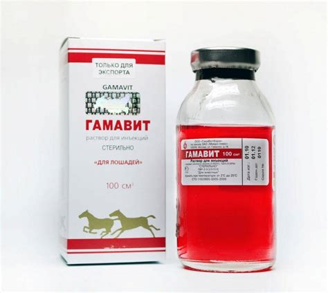 Гамавит кошкам: показания и противопоказания, инструкция по применению ...