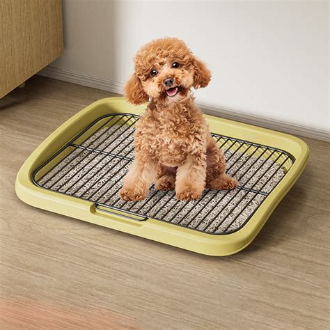 StSilkitty Flat Bottom Detachable Dog Toilet with Easy to Clean