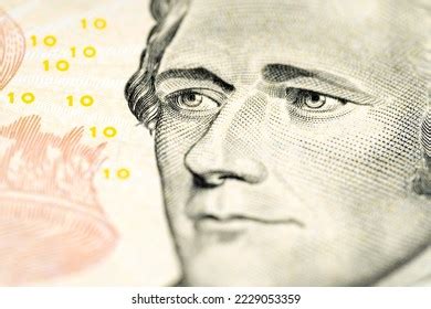 Alexander Hamilton Portrait Ten Dollar Bill Stock Photo 2229053359 ...