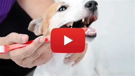 67+ Genius Life Hacks You’ll Wish You Knew Sooner - Swipit