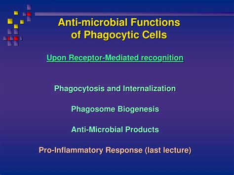 Ppt Host Pathogen Interaction Powerpoint Presentation Free Download