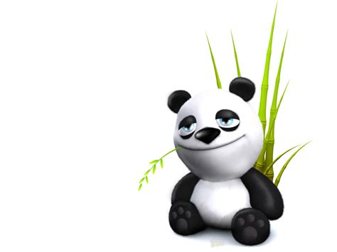 Funny Animal Wallpapers Top Hd Wallpapers