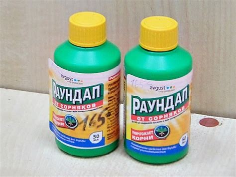 Как избавиться от пня на участке