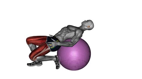 Unlock The Benefits Of Exercise Ball Lower Back Prone Stretch A Beginner S Guide