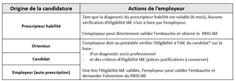 Pass Iae Comment A Marche Les Emplois De L Inclusion