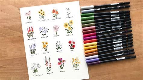 DRAW WITH ME ll How To Draw Flowers With Tombow Dual Brush Pen ll สอน