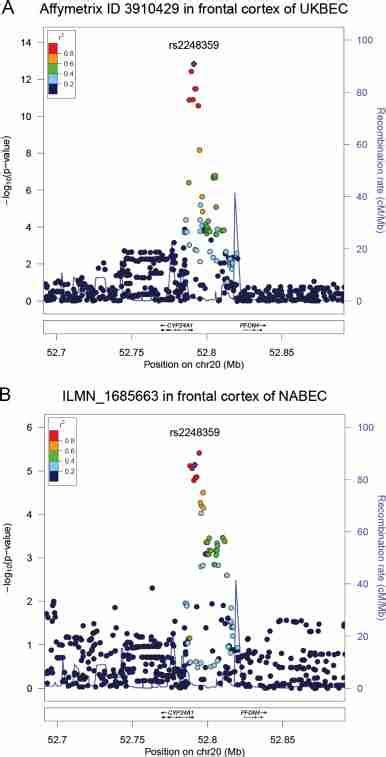 Refining EQTL Signals In The Genomic Region Regional Association Plot