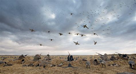 duck hunting wallpaper hd