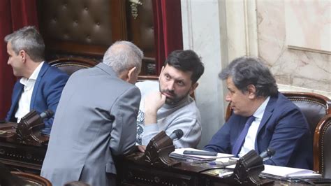 Se Rompi La Ucr En Diputados Y Nace Un Nuevo Bloque La Voz Del Neuqu N