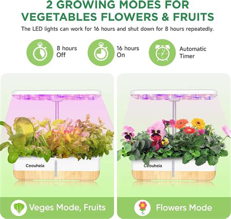 Sistema de cultivo hidropónico 12 cápsulas jardín de hierbas para