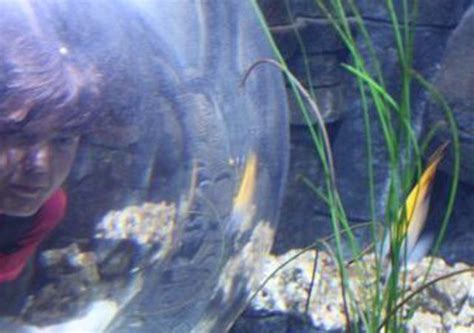 Beim Sex Bin Ich Gerne Devot Und Gehorche