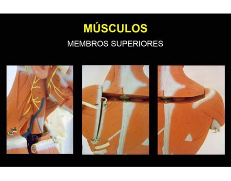 MMSS 01 Quiz