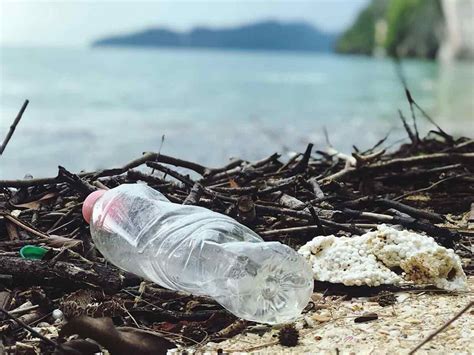 ¿cuánto Plástico Se Recicla A Nivel Mundial The Free Nature