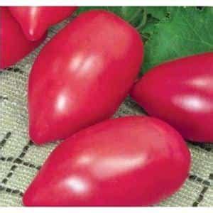 Томат Розовый фламинго: характеристика и описание сорта, как его ...