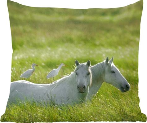 Sierkussen Paarden Vogel Gras Bruin Cm X Cm Bol