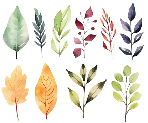 Premium Vector Watercolor Botanical Illustrations Set