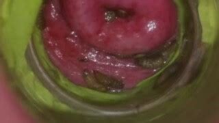 More Bsf Play Women Naked With Insects MOTHERLESS