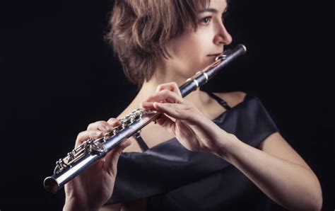 27900 Orchestra Horns Stock Photos Pictures And Royalty Free Images
