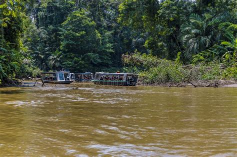 A View of River Traffic Navigating Bends on the Tortuguero River in ...