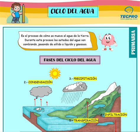 Propiedades Del Agua Para Segundo De Primaria Fichas Pa Nbkomputer