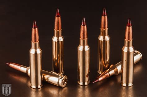 6.8 SPC vs. 6.5 Creedmoor: Cartridge Comparison by Ammo.com