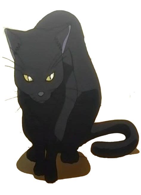 Yoruichi Pose Cat