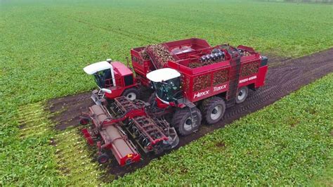 Agrifac Row Sugarbeet Harvesting R Benernte Holmer Hexx Traxx