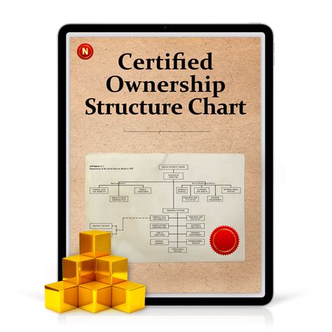 Certified Ownership Structure Chart Notary24 Online Notary Services