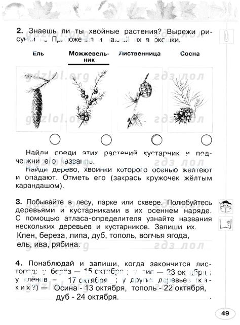Ответы по окружающему миру 1 класс рабочая тетрадь федотова 1: ГДЗ ...