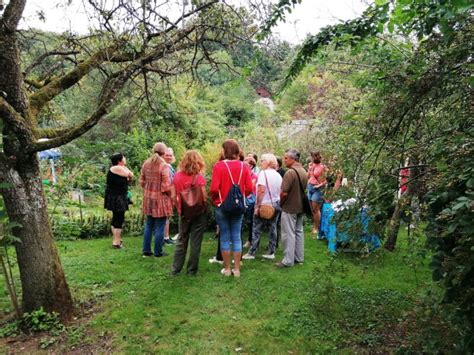 Seenland Garten Roas Salzburger Seenland