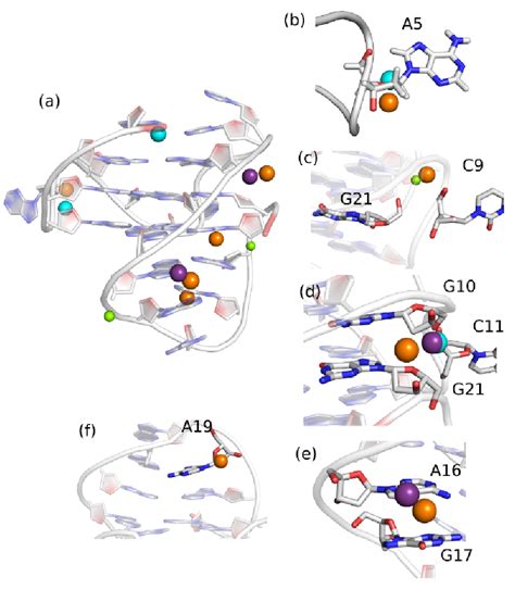 Figure S20 Comparison Of Cation Binding Pockets As Observed In Download Scientific Diagram