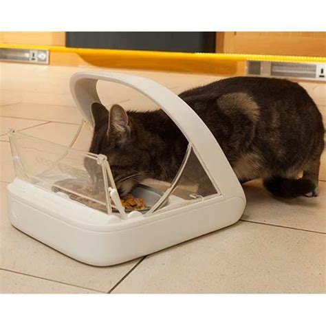 Sureflap microchip cat feeder - siammumu